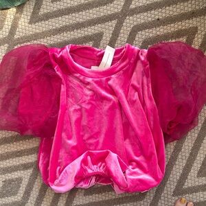 Anthropologie/ Maeve Fuchsia Velvet Top with Sheer Details